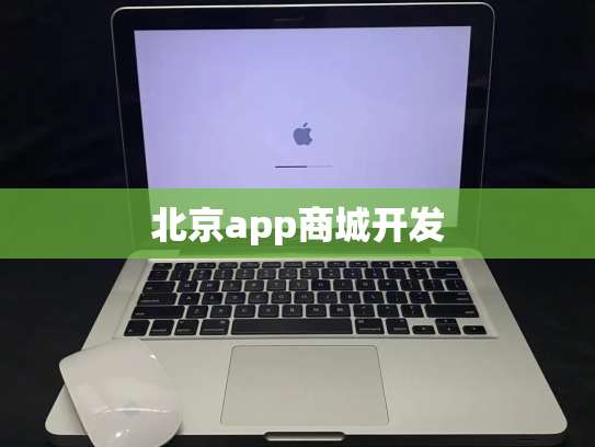 北京app商城开发