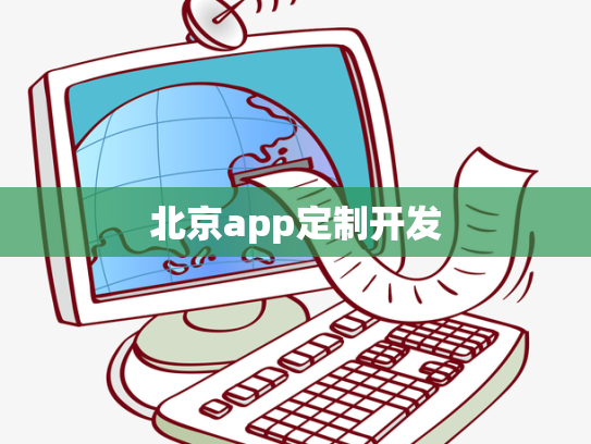 北京app定制开发
