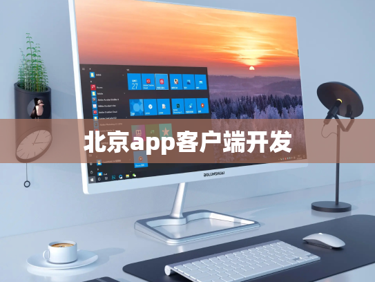 北京app客户端开发