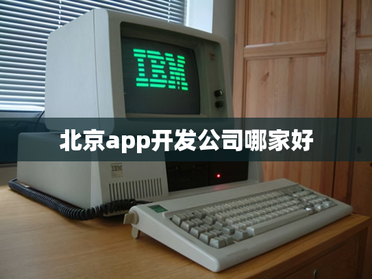 北京app开发公司哪家好