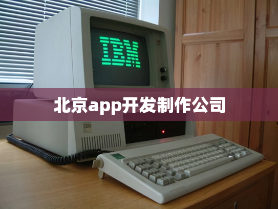 北京app开发制作公司