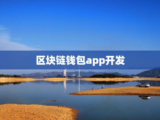 区块链钱包app开发