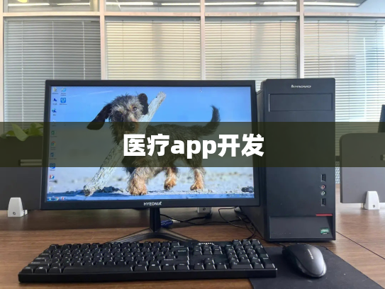 医疗app开发
