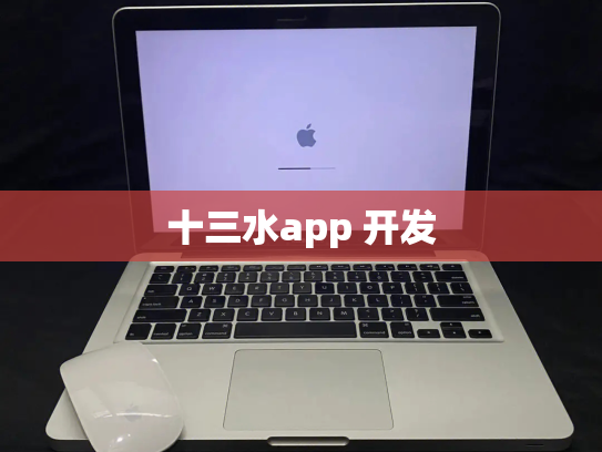 十三水app 开发