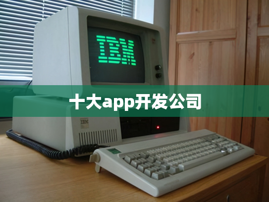 十大app开发公司