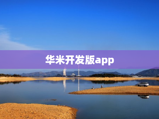 华米开发版app