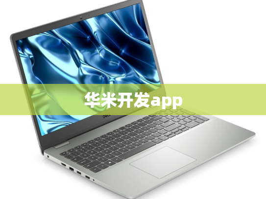 华米开发app