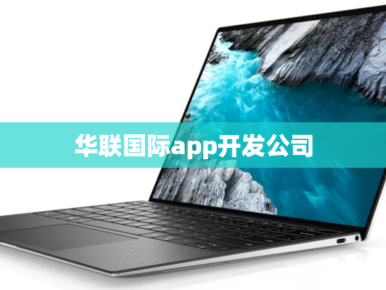 华联国际app开发公司