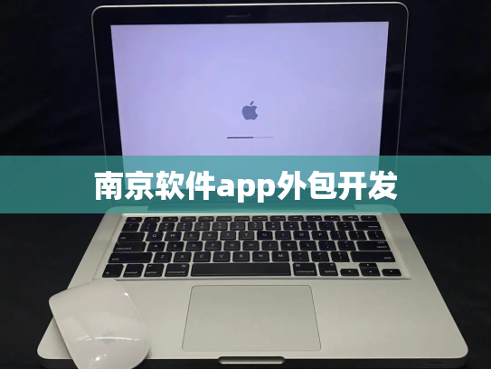南京软件app外包开发
