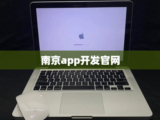 南京app开发官网