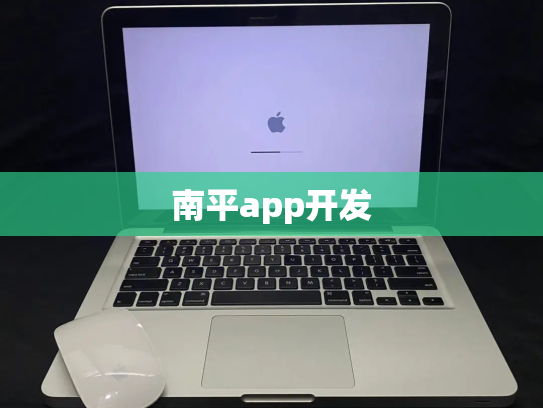南平app开发