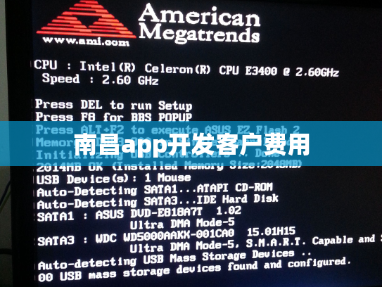 南昌app开发客户费用