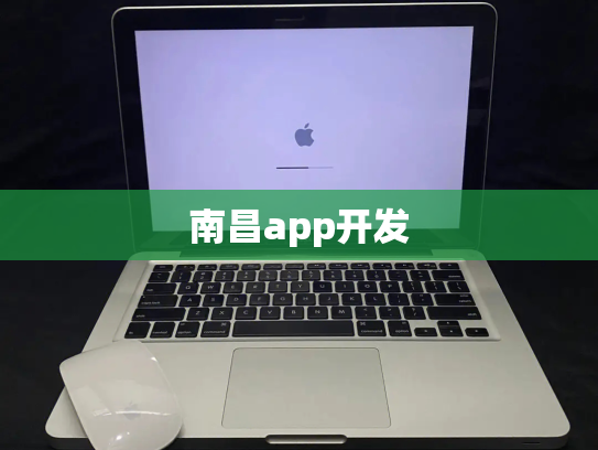 南昌app开发