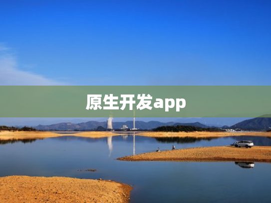 原生开发app