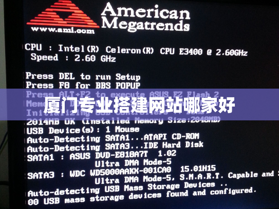 厦门专业搭建网站哪家好