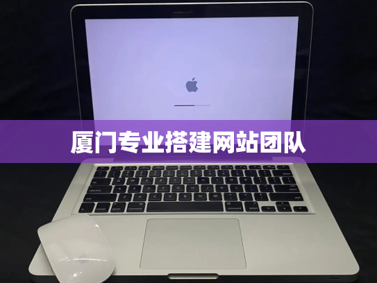 厦门专业搭建网站团队