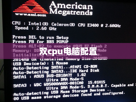 双cpu电脑配置