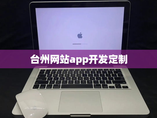 台州网站app开发定制