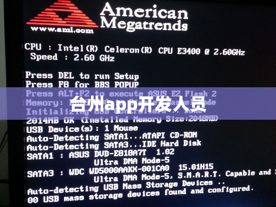 台州app开发人员