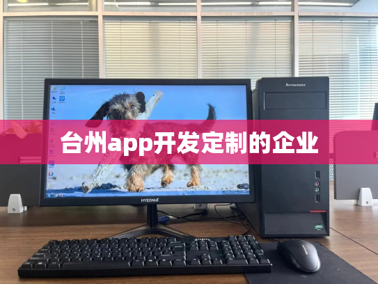 台州app开发定制的企业