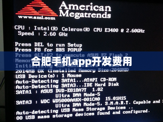 合肥手机app开发费用
