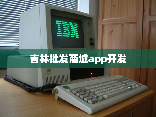 吉林批发商城app开发