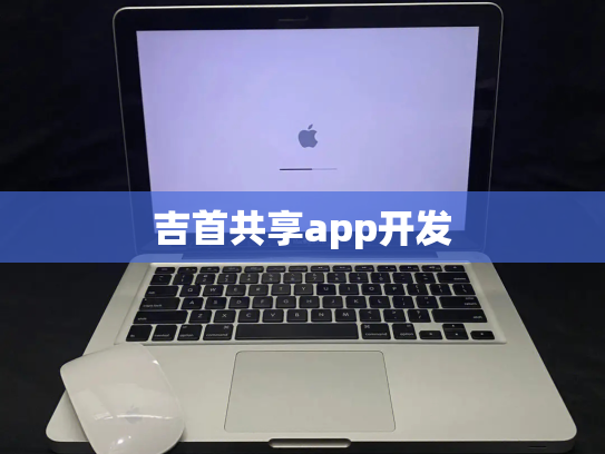 吉首共享app开发