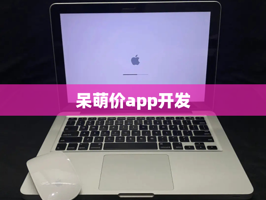 呆萌价app开发