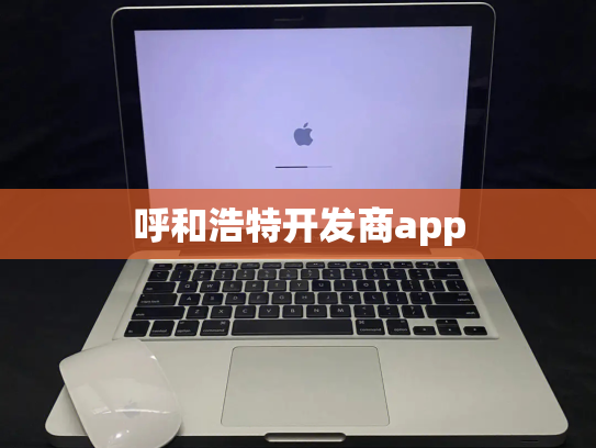 呼和浩特开发商app