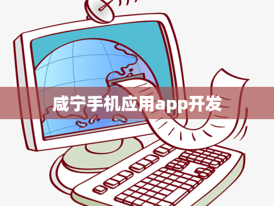 咸宁手机应用app开发
