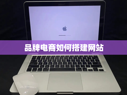 品牌电商如何搭建网站