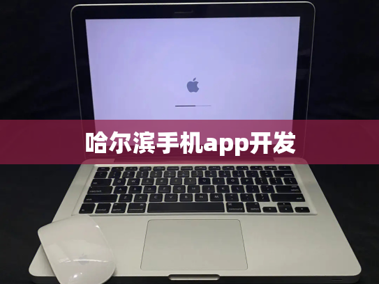哈尔滨手机app开发