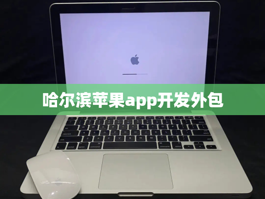 哈尔滨苹果app开发外包