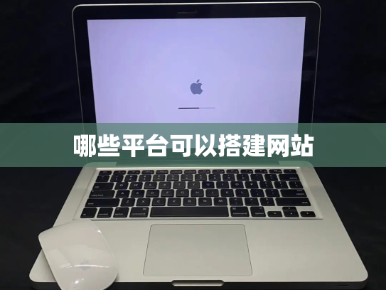 哪些平台可以搭建网站