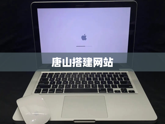 唐山搭建网站