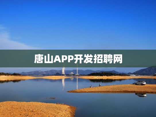 唐山APP开发招聘网