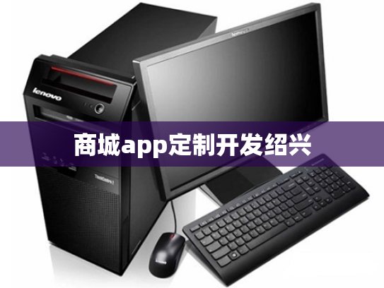 商城app定制开发绍兴