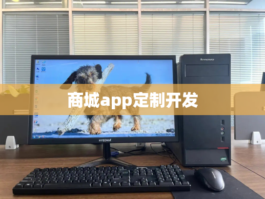 商城app定制开发