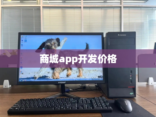商城app开发价格