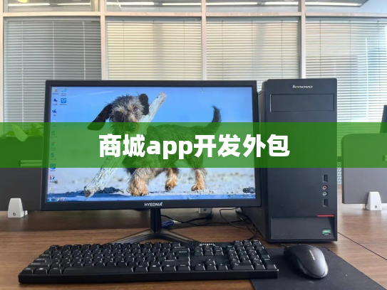 商城app开发外包