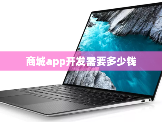 商城app开发需要多少钱