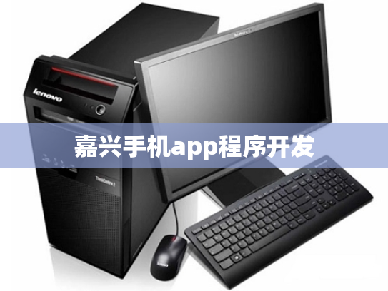 嘉兴手机app程序开发
