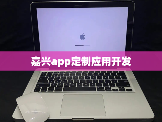 嘉兴app定制应用开发