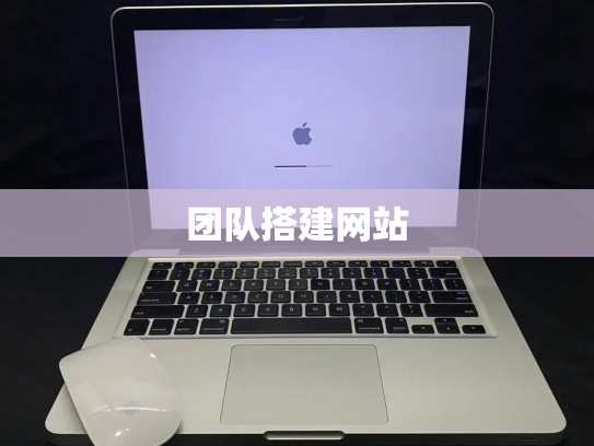团队搭建网站