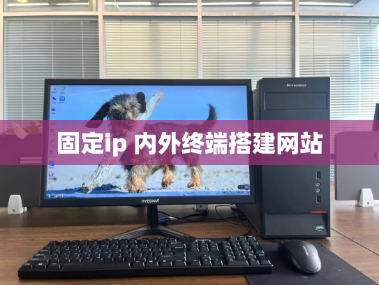 固定ip 内外终端搭建网站