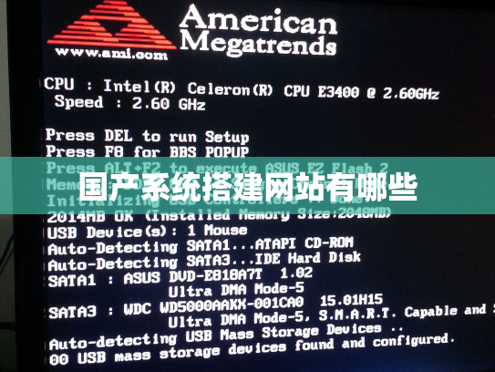 国产系统搭建网站有哪些