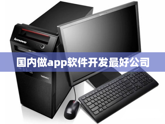 国内做app软件开发最好公司