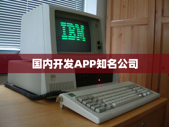 国内开发APP知名公司