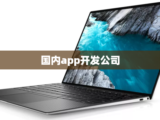国内app开发公司