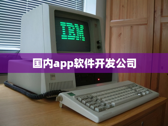 国内app软件开发公司